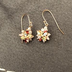 Multi color earrings